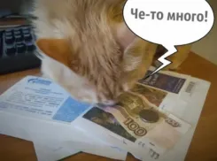 Цены на коммуналку в Воронеже разрешили поднять еще на 9,8%