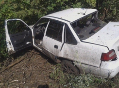 В Воронежской области иномарка врезалась в дерево: погибла женщина