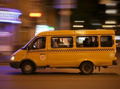 Инспекторы приструнят гоняющихся маршрутчиков в Воронеже