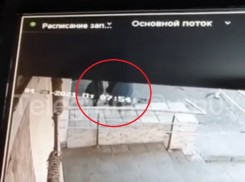 Избиение 11-летнего ребенка взрослым мужчиной заинтересовало воронежских следователей