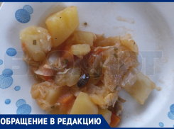 Обедом с тараканами накормили воспитанников воронежского детского сада 