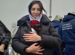 Опубликовано видео спасения котенка, вызволенного из бетонного плена в Воронеже 