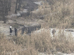 Детей заметили на тонком льду воронежского водохранилища