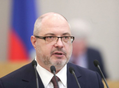 Комитет Госдумы по собственности возглавил воронежский депутат Сергей Гаврилов