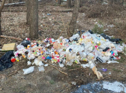 В воронежском лесу появились следы «Робина», но не Гуда