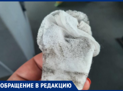 Маршрутку депутата Крутских пристыдили за грязную поездку в Воронеже 