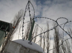 Мошенника, скрывавшегося в Австрии, посадили на 3,5 года тюрьмы в Воронеже