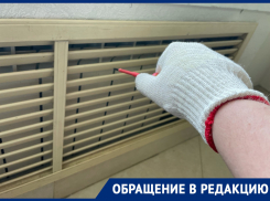 Долбили, топили, да не вытопили: увлекательная история коммунальной горечи в воронежском доме с батареями в стенах 
