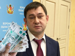 До миллиона рублей в месяц могут получать депутаты Воронежской облдумы