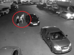 Залепил с вертушки: парень царапал машины и бил девушку в Воронеже