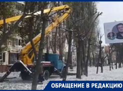 «Оставляют столбы»: мэрия объяснила обрезку деревьев в Воронеже
