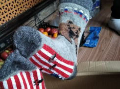 Шерстяную помощь для российской армии стали оказывать жители Воронежской области