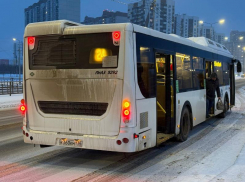 В Воронеже проводят повторный мониторинг общественного транспорта на «шиловских» маршрутах