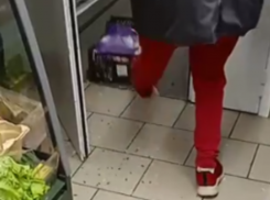 Полчище тараканов в продуктовом магазине засняли на видео в Воронеже