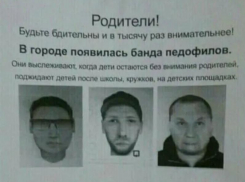 Банду педофилов объявили фейком в Воронежской области