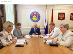 Избирком хочет изменить схему округов на выборах воронежских депутатов 