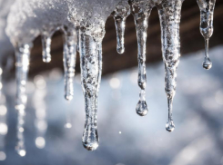 Ждать ли преждевременной весны в Воронежской области, ответили синоптики