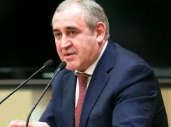 Главный единоросс Госдумы открестился от жесткой позиции Гордеева по бюджету