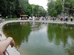 КПП и шлагбаум поставят на входе в Центральный парк Воронежа