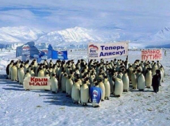 Пингвины из Единой России требуют вернуть Аляску