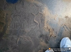 «Пыльный разврат» заметили в воронежском автобусе