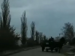 Забытый вид транспорта устроил переполох на дороге в Воронеже 