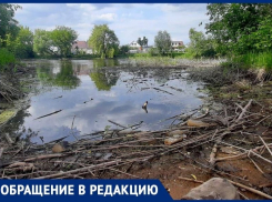 Чиновники ответили на претензии к «одаренным коммунальщикам» под Воронежем