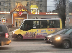 Стало известно, сколько автобусов и троллейбусов закупят власти в Воронеже