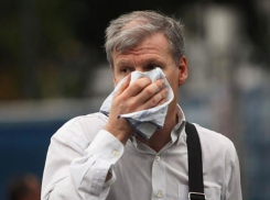 Городская чиновница обнаружила новую причину вони в Воронеже 