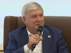 Должность премьер-министра собрались ввести в правительстве Воронежской области