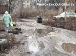О жизни воронежцев под напряжением расскажут Бастрыкину 