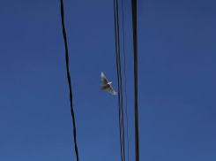 Давление пляшет, дождь не кончается: погода на неделю в Воронеже