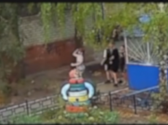 Кидают все подряд: воронежцы рассказали об опасном поведении детей