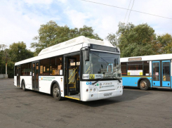  Где в 2020 году появятся выделенные полосы для маршруток в Воронеже 