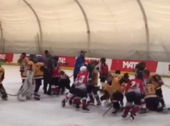 Массовая драка юных воронежских хоккеистов попала на видео