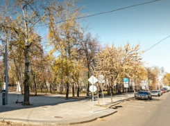 У крупного парка запретят парковаться в Воронеже на 2 дня