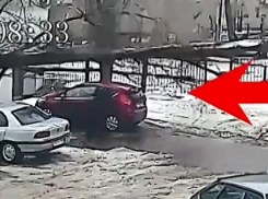 Следователи и прокуроры проверят ЧП с падением дерева на женщину у лицея №6 в Воронеже