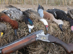 Названы сроки начала весенней охоты на птиц в Воронежской области