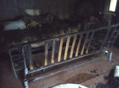 В Воронеже во время пожара спасатели эвакуировали 14 человек