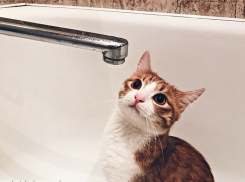 Расширился список домов, оставшихся без воды в Воронеже: мэрия опубликовала новые адреса