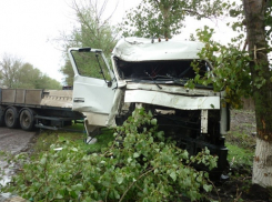 В Лискинском районе «МАЗ» врезался в дерево