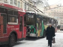 В Воронеже троллейбусы прекратили работу из-за дерева, повредившего контактную сеть