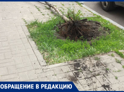 Отвратительный поступок парней показали в Воронеже 