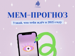 «Мем-прогноз» на 2025 год появился в Воронеже