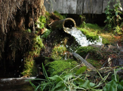 Роспотребнадзор: из пяти родников в Воронежской области воду можно пить лишь в одном