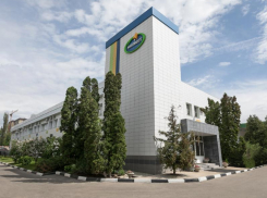 Более 10 тонн молочных продуктов направит многодетным и малообеспеченным семьям воронежский «Молвест»