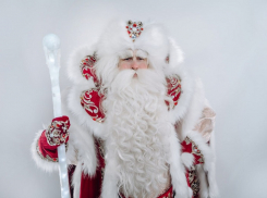 Заказ Деда Мороза в Воронеже