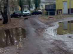 Омерзительная дорога в воронежский садик попала на видео