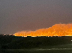 Что внезапно загорелось под Воронежем, рассказали в МЧС