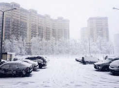 Синоптики пообещали ежедневные снежные бури в Воронеже